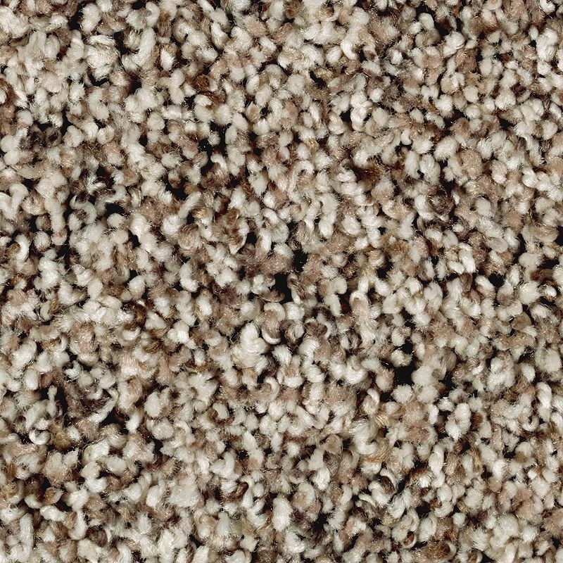 Softly Elegant Ii Autumn Ash Polyester Carpet - Textured