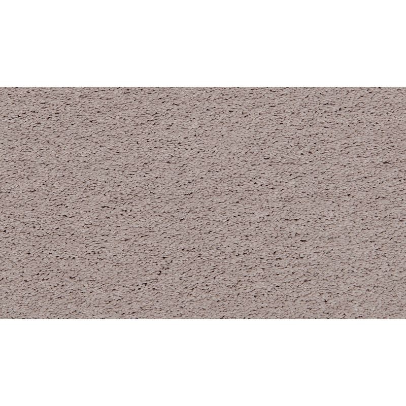 Pleasant Touch Hazy Stratus Triexta Carpet