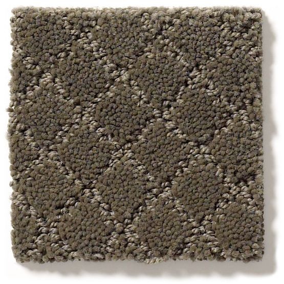 Pet Perfect Pawnache Overcoat Nylon Carpet - Pattern
