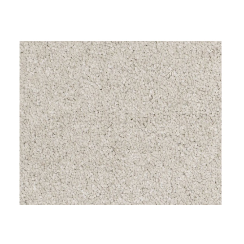 Castle Pv Ii Bismuth Nylon Carpet - Textured