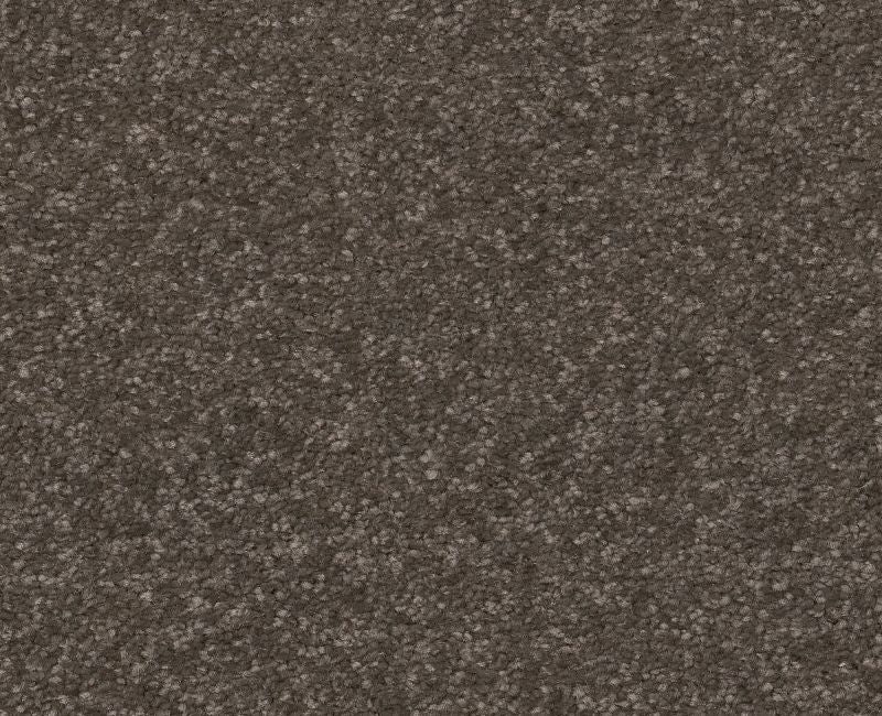 Off The Leash I 12 Urban Rustic Polyester Carpet - Loop