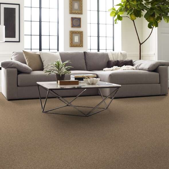 Soft Shades My Choice Ii Twig Nylon Carpet - Textured
