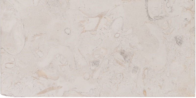 Shell Beach Limestone Bullnose Coping - Brushed