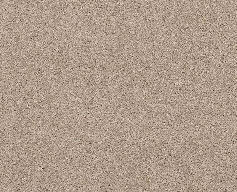 Marlow II Barista Nylon Carpet Pattern