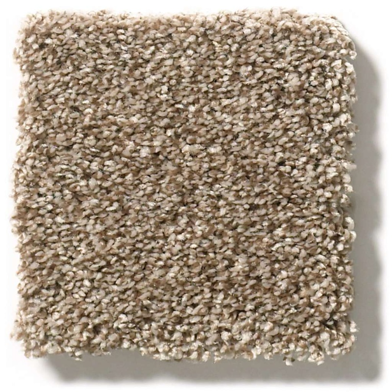 Pet Perfect Plus Just A Hint I Bronze Textured Polyester Carpet
