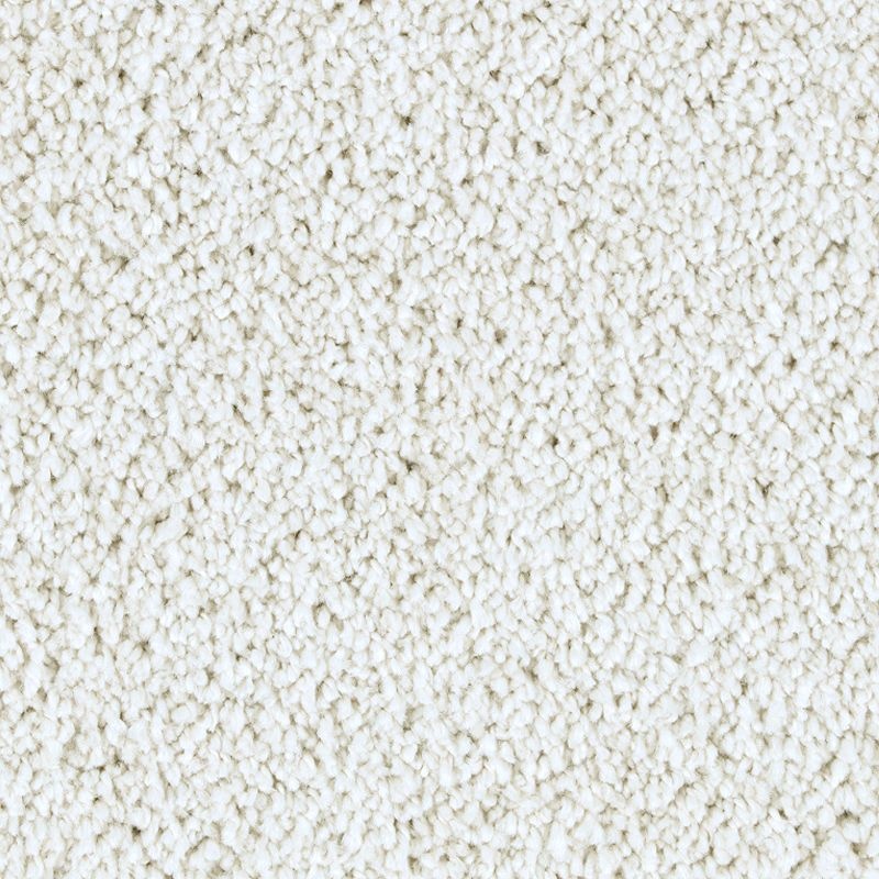 Exquisite Attraction Nouveau Triexta Carpet - Textured