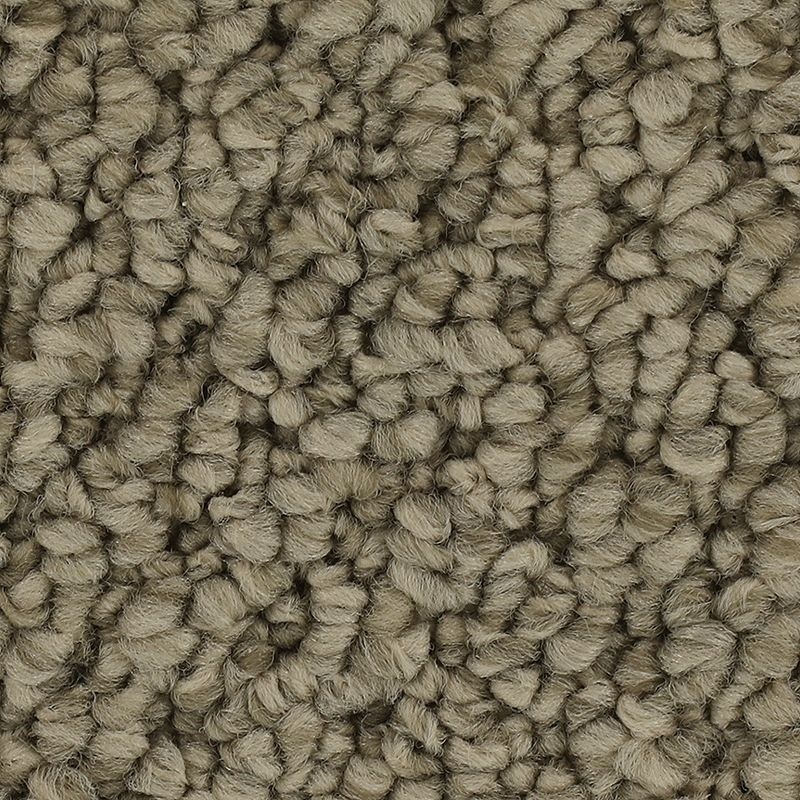 Cozy Classic Taupe Whisper Polyester Carpet