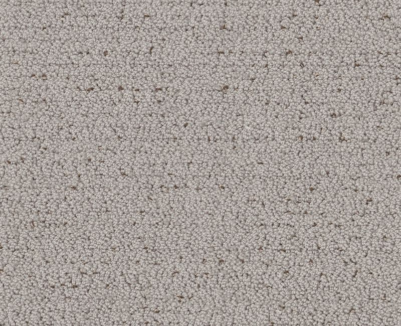 Without A Trace Gravity Polyester Carpet - Textured