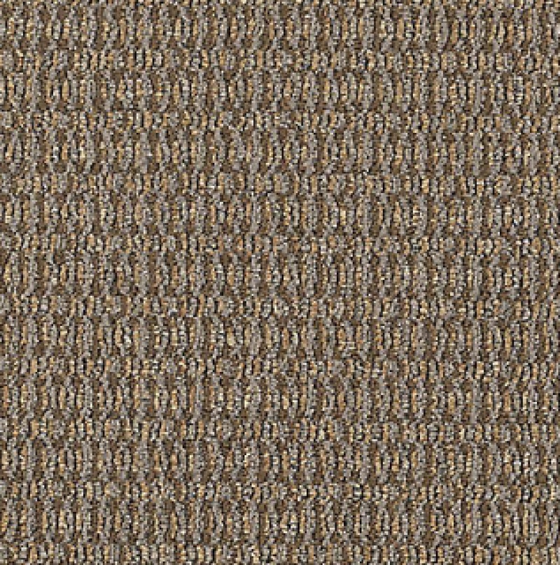Intuitive Contemplate Intend Nylon Carpet - Loop