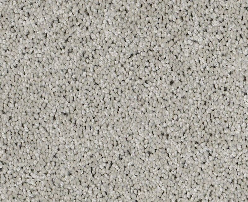 Playa Blanca Sheer Silver Nylon Carpet - Textured