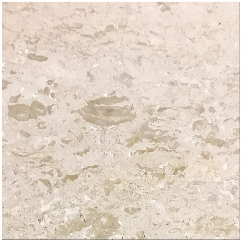 Shell Stone Limestone Tile - Brushed
