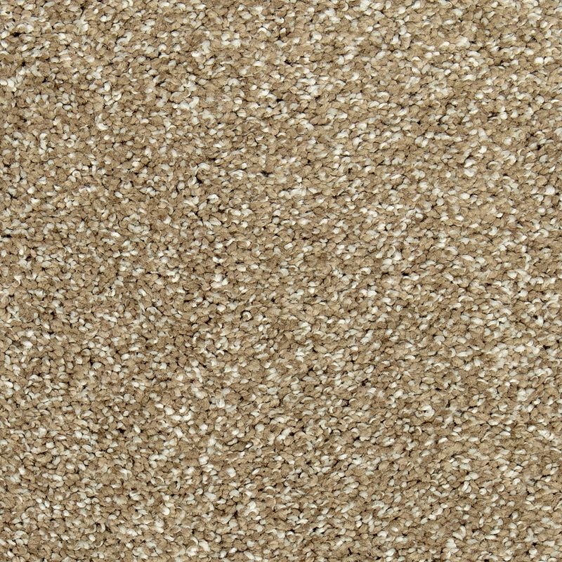Natural Refinement I Urban Taupe Triexta Carpet - Textured