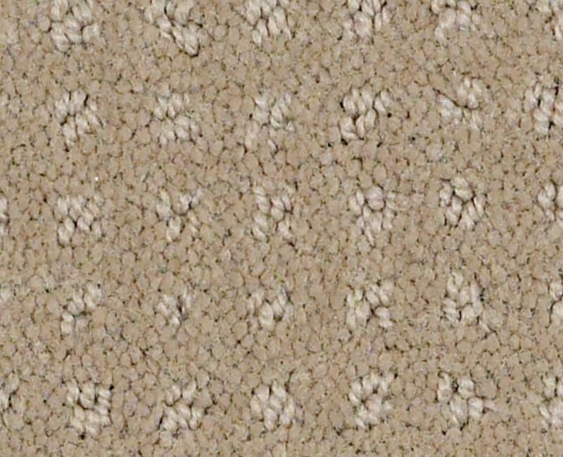 Global Chic Safari Nylon Carpet - Loop