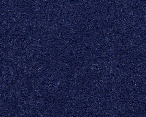 Emphatic Ii 30 Dahlia Nylon Carpet - Textured