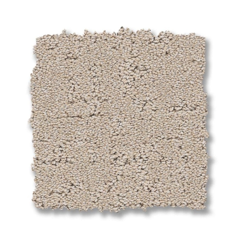 Pet Perfect Plus Secret Destination Dune View Polyester Carpet