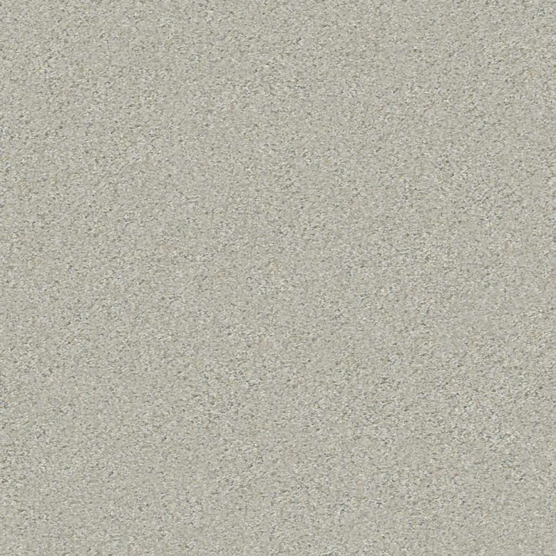 Simply The Best Boundless Ii Reflection Polyester Carpet - Textured