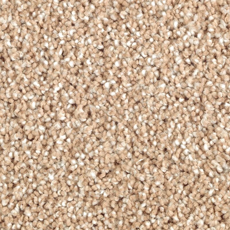 Natural Refinement Ii Maple Tint Triexta Carpet - Textured