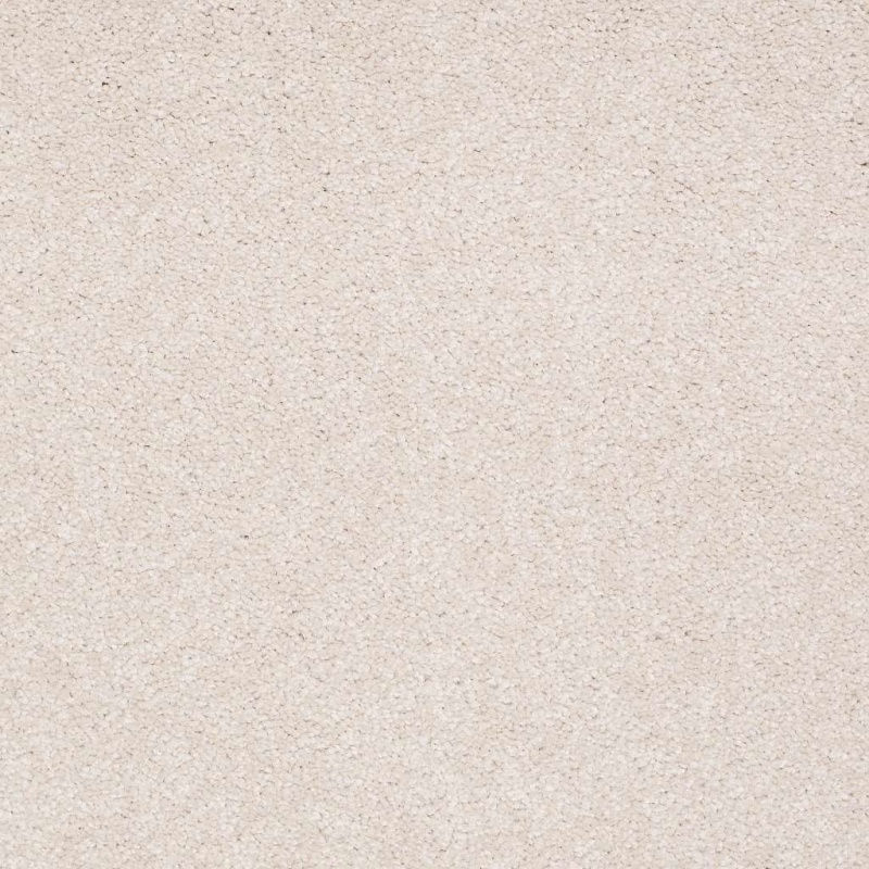 Magic At Last Iii 15' Sea Salt Nylon Carpet - Textured