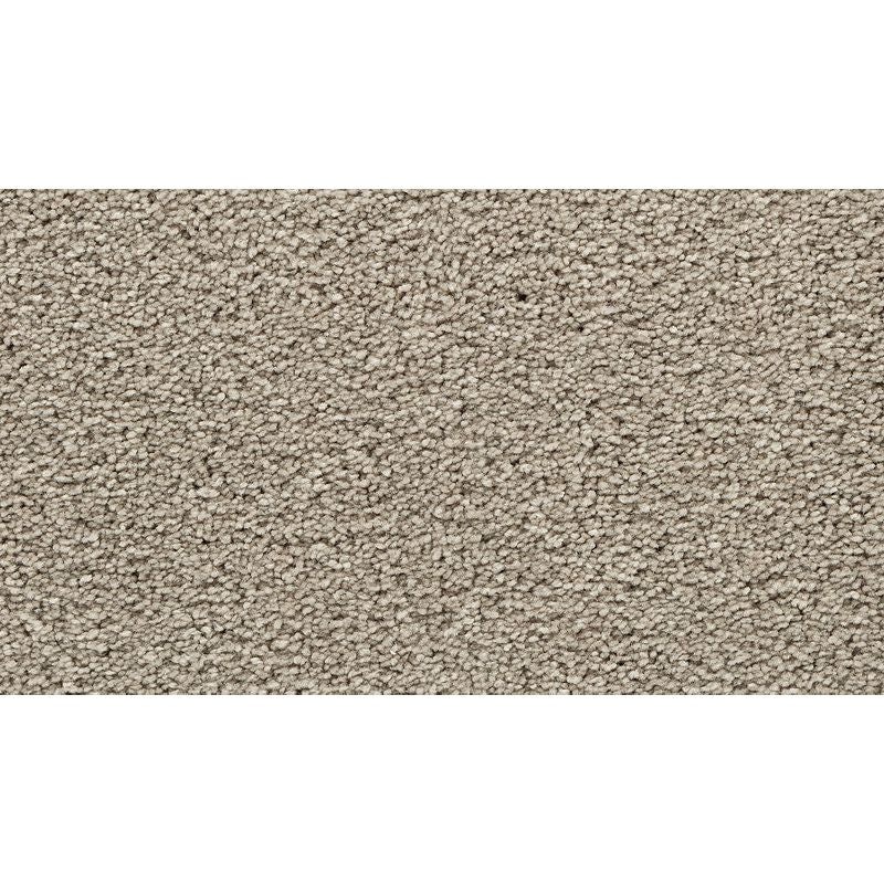 Bold Choice Wrangler Polyester Carpet - Textured