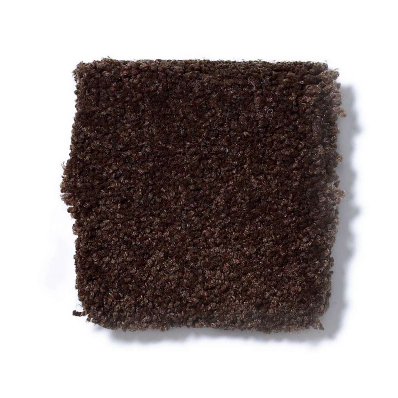 Sandy Hollow Classic IV Coffee Bean Nylon Carpet