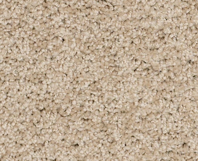 Playa Blanca Clay Stone Nylon Carpet - Textured