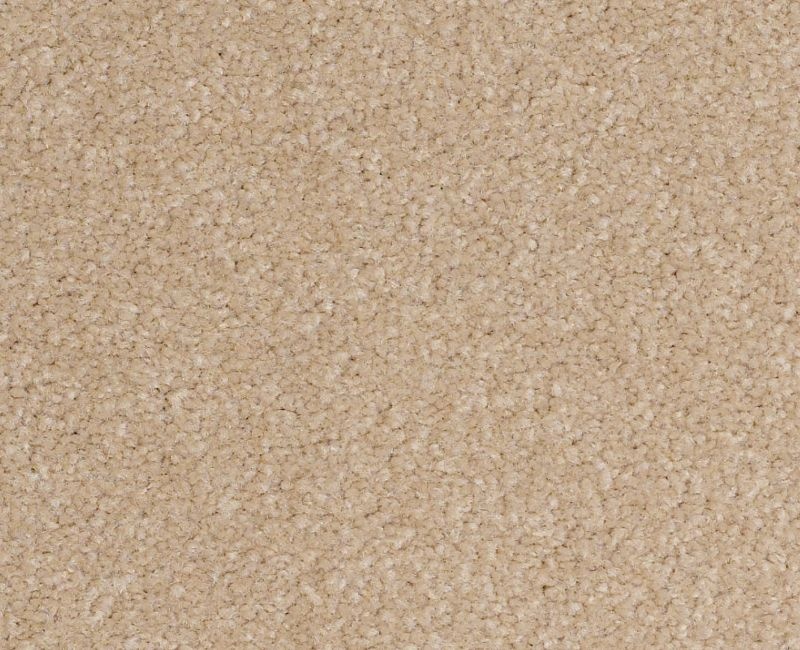 Magic Happens Pv Iii Antique White Nylon Carpet - Textured