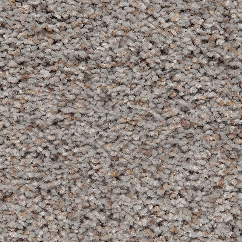 Relaxing Presence Reflection Triexta Carpet - Textured