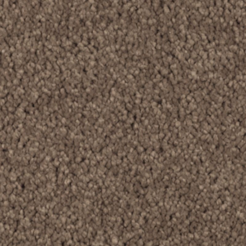 Natural Splendor II Nutmeg Triexta Carpet - Textured