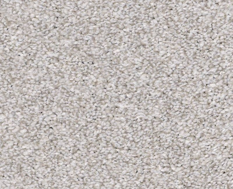 Mine To Keep Ii Soft Fleece Polyester Carpet - Textured