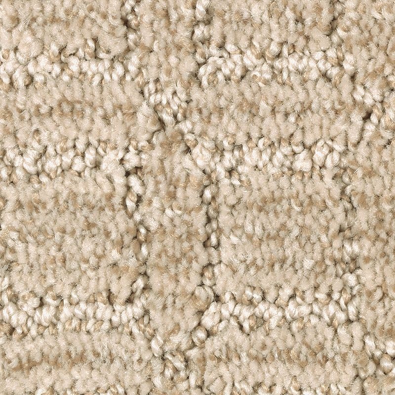 Refined Interest Gobi Sands Polyester Carpet - Pattern