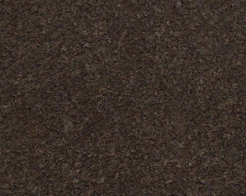Emphatic II 36 Brocade Nylon Carpet - Textured