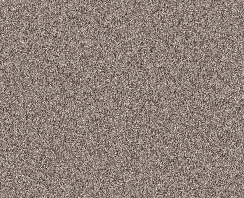 Cavallini Chestnut Polyester Carpet - Loop