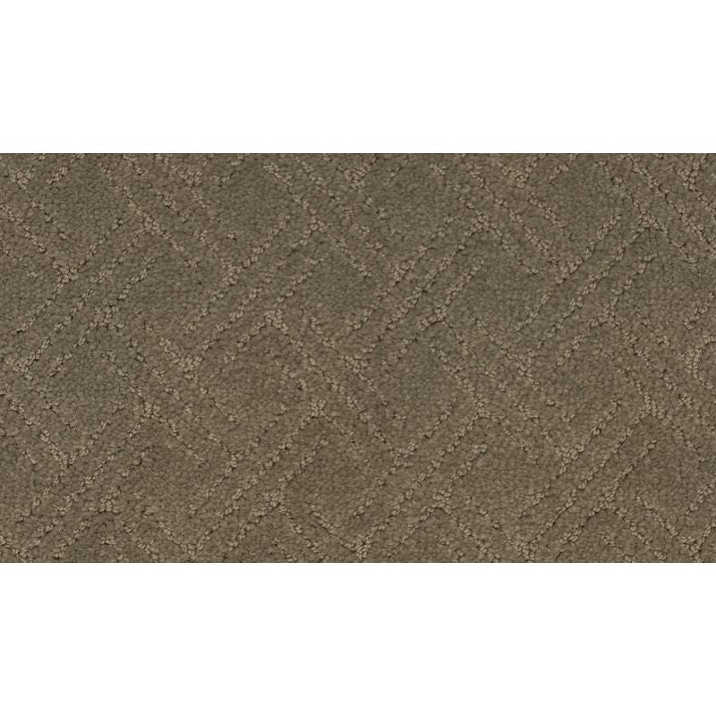 Exquisite Touch Otter Triexta Carpet - Pattern