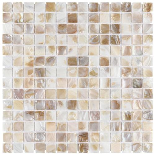 Conchella Natural Shellstone Mosaic 12" x 12" Glossy