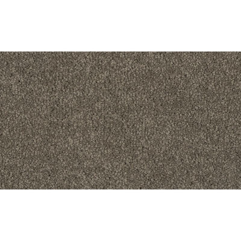 Coastal Fashion Iii Dolphin Nylon Carpet - Textured