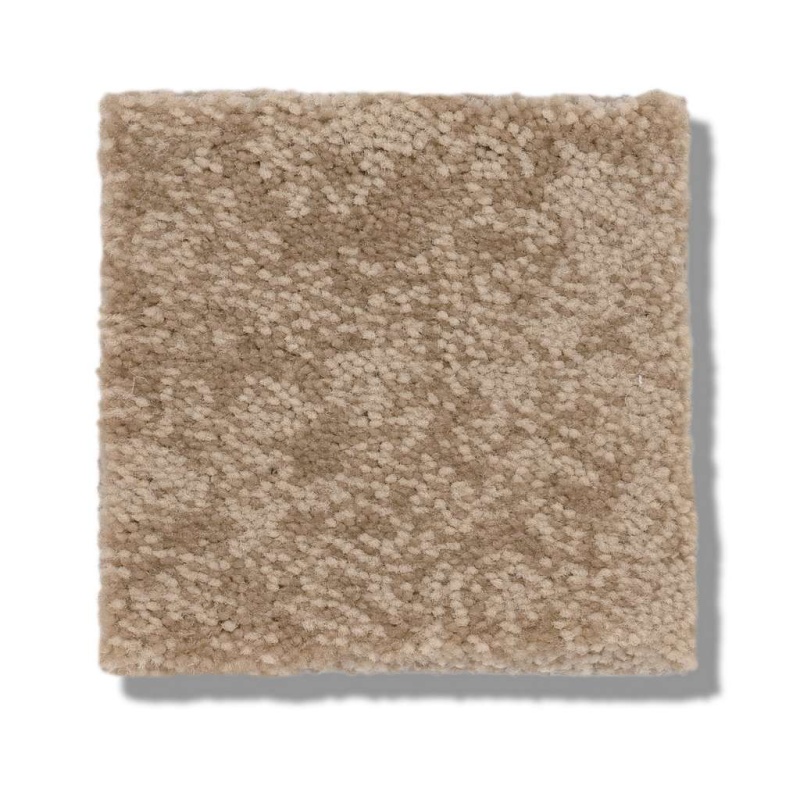 Caress By Shaw State Of Mind Natural Beauty Nylon Carpet - Pattern