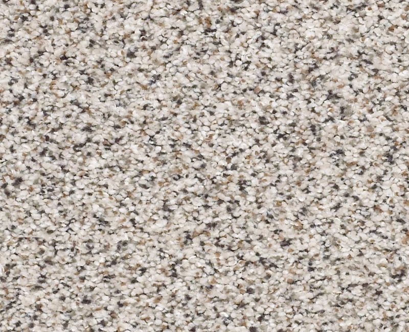 Color Express Accent I Italiano Nylon Carpet - Loop