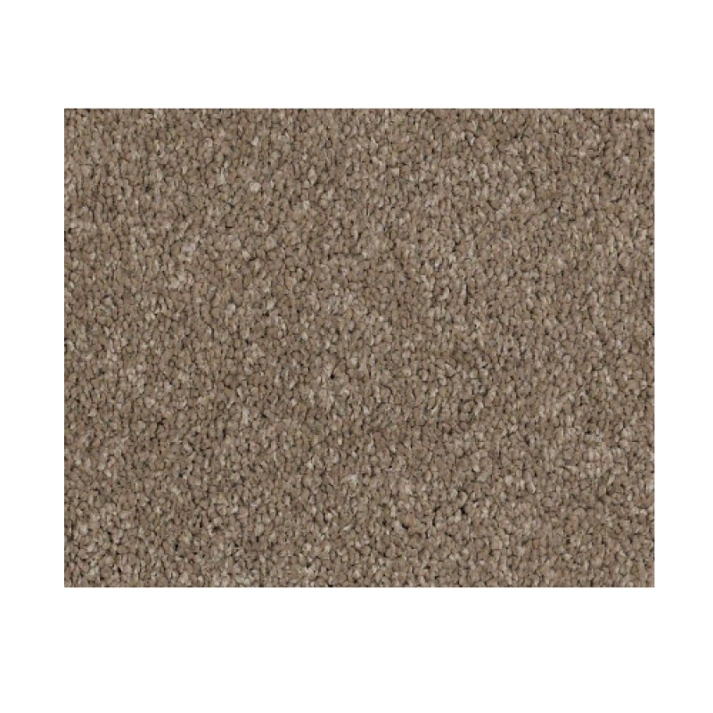 Castle Pv Ii Mesquite Nylon Carpet - Textured