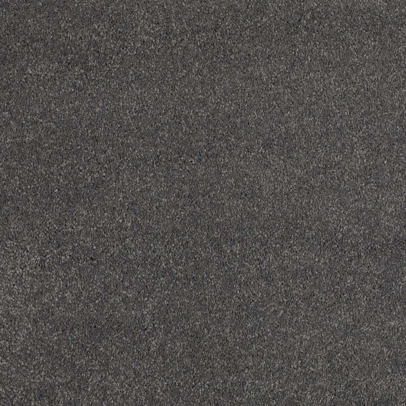 Caress By Shaw Quiet Comfort Classic Iii Armory Nylon Carpet - Textured