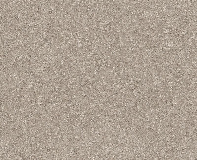 Off The Leash I 15 Soft Sense Polyester Carpet - Loop