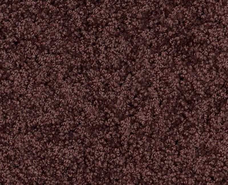 Playa Blanca Plum Delight Nylon Carpet - Textured