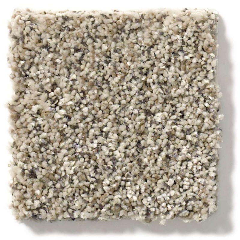 Simply The Best All Set Ii River Rock Polyester Carpet - Textured
