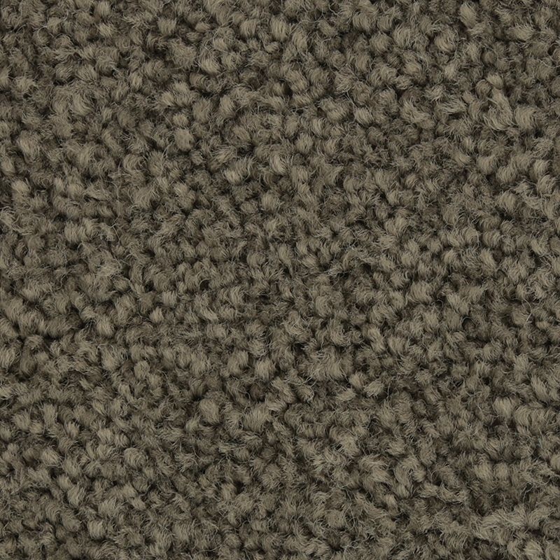 Coastal Fashion I Diplomacy Nylon Carpet - Textured