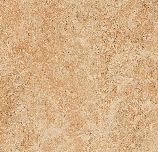 Marmoleum Composition Sheet MCS Shell Linoleum - Topshield Pro