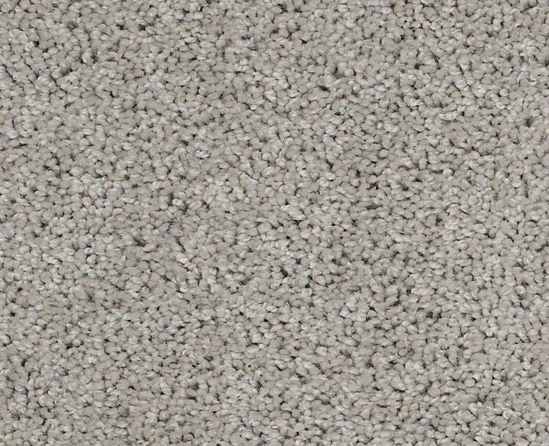 Orlando Pv Sea Salt Nylon Carpet - Textured