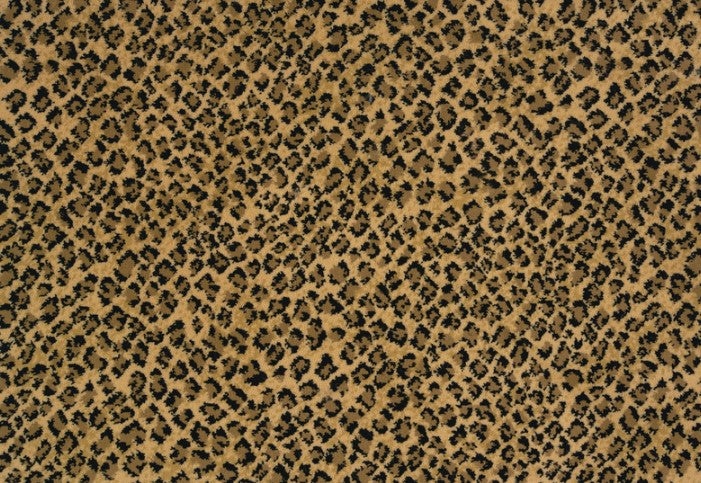 Kilimanjaro Coll Serengeti Wildroot Polypropylene Carpet - Textured