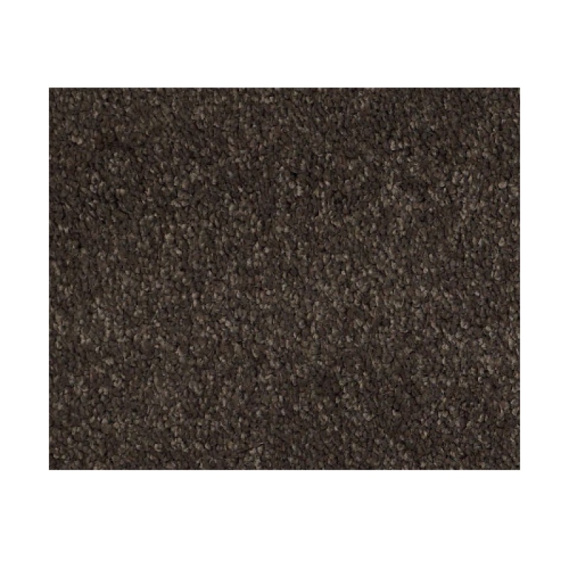 Castle Pv I Chestnut Nylon Carpet - Textured