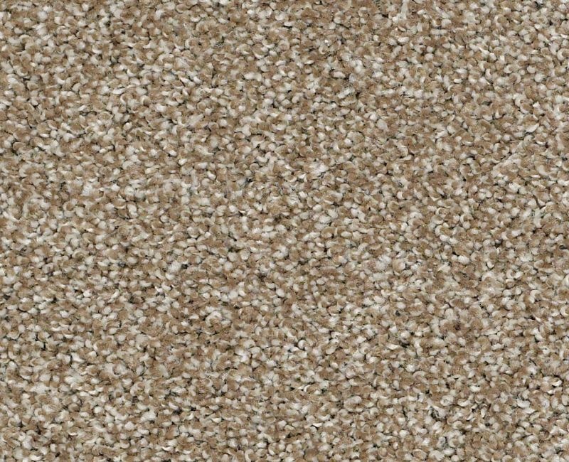 Uncomplicated Prairie Nylon Carpet - Pattern