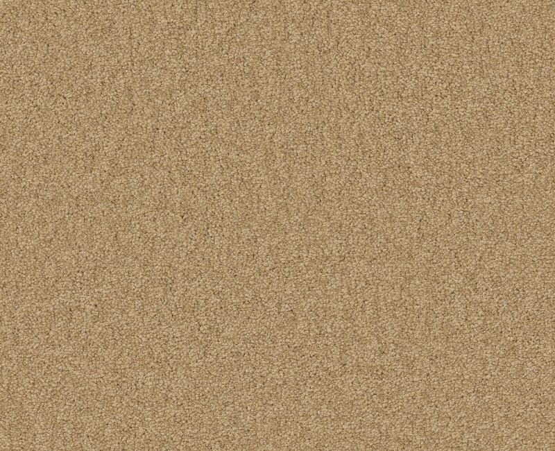 Endura Ii 15' Cornfield Nylon Carpet - Pattern