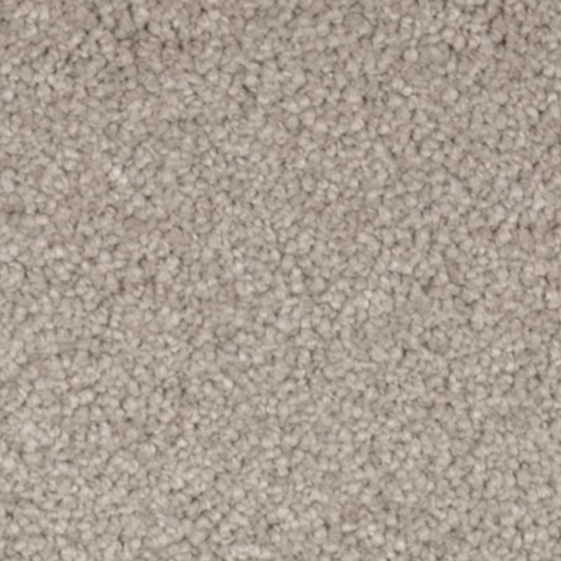 Natural Splendor Ii Mineral Grey Triexta Carpet - Textured